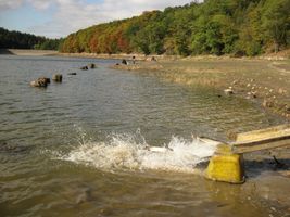 Botič 2-ú.n.Hostivař-vysazování štik-13.10.12.jpg